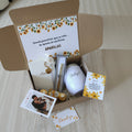 Spring Box 3