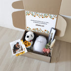 Spring Box 2